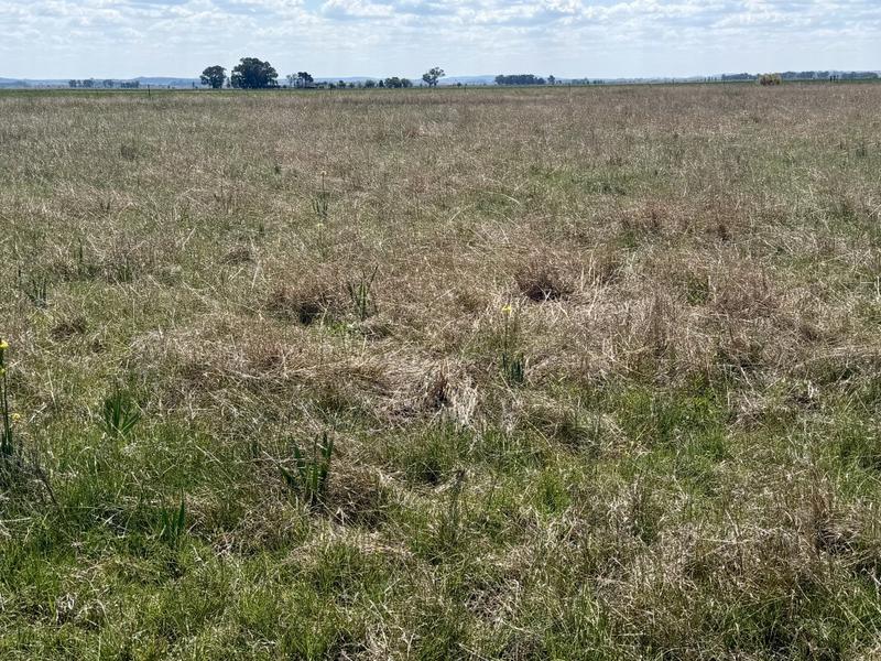 0 Bedroom Property for Sale in Koppies Free State